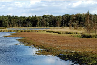 Plan Klein Hazenberg