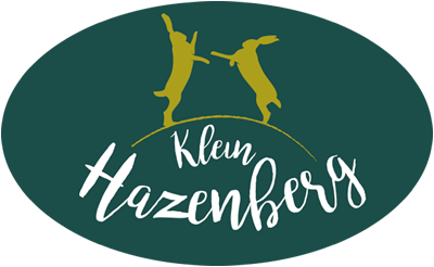 Plan Klein Hazenberg - wonen in Leersum