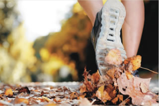 hardlopen in het bos